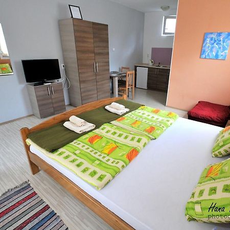 Apartments Svetlica Backi Petrovac Ngoại thất bức ảnh
