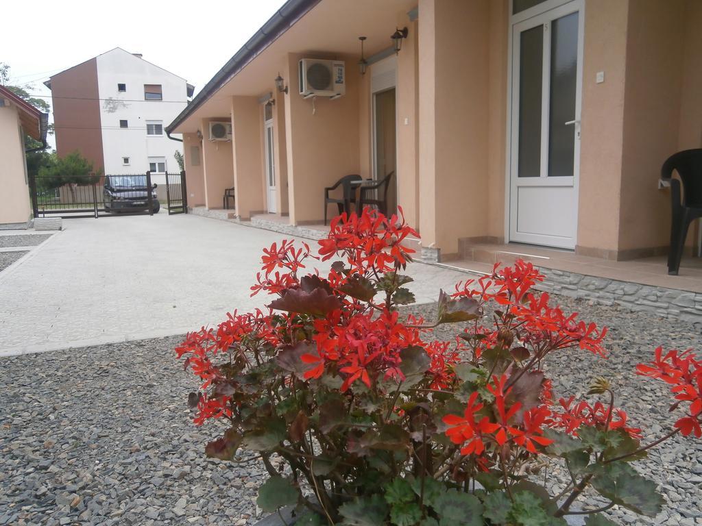 Apartments Svetlica Backi Petrovac Ngoại thất bức ảnh
