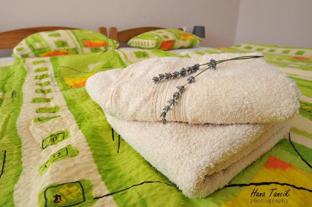 Apartments Svetlica Backi Petrovac Ngoại thất bức ảnh