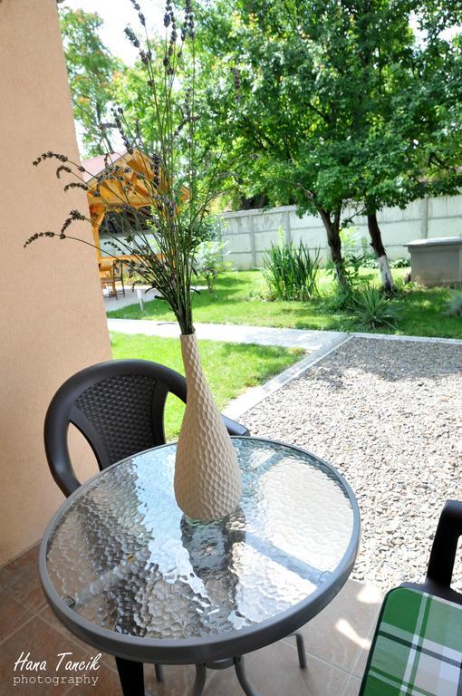 Apartments Svetlica Backi Petrovac Ngoại thất bức ảnh